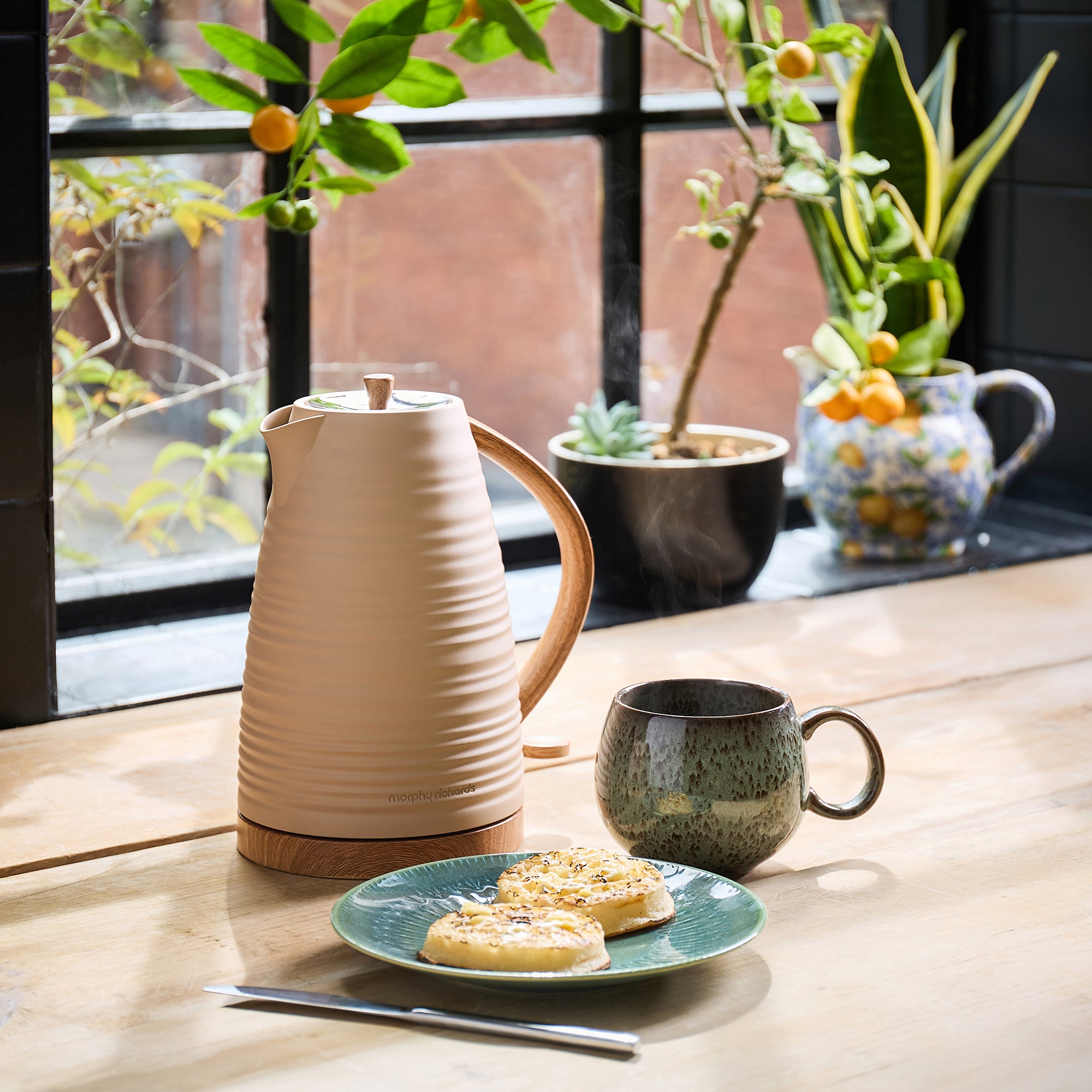 Kettle, mug, and plate with cookies on a wooden table near a window with plants.